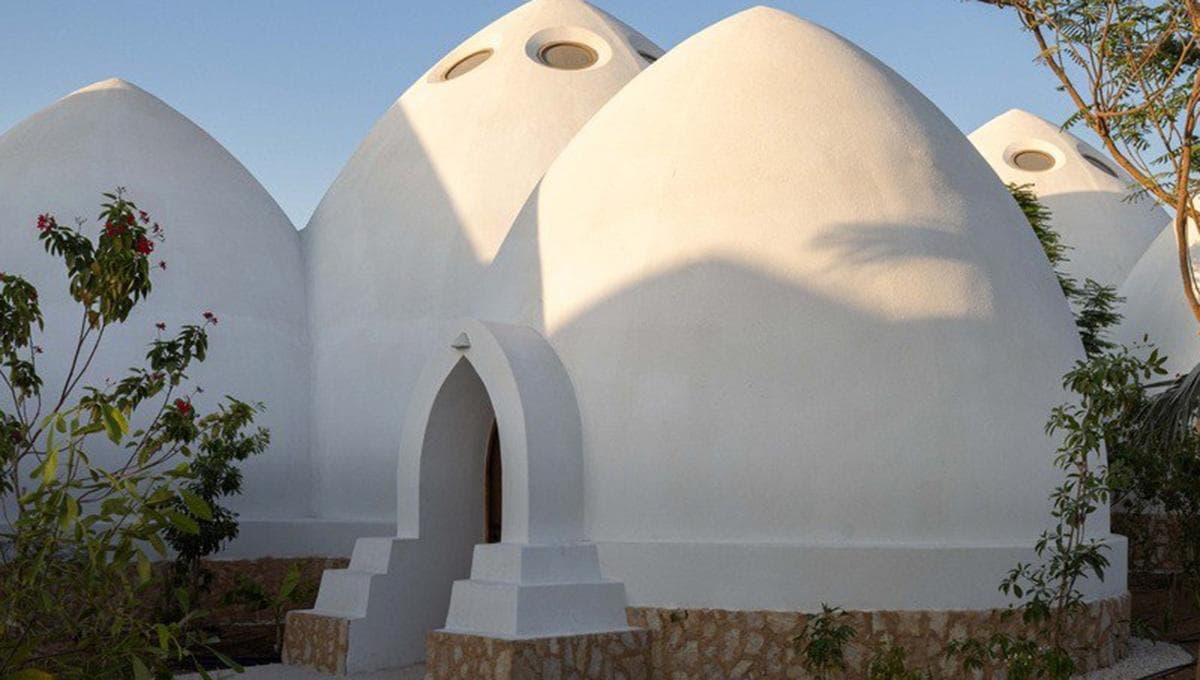 معماری جدید در امارات؛ مدرسه‌ای با طرح الهام‌گرفته از ماهی کوی (+عکس)