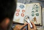 راز ۵۰۰ ساله؛ نسخه خطی وینیچ، کتابی که با کلمات بیگانه نوشته شده است(+فیلم و عکس)