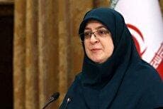 واکنش سخنگوی دولت به توهین‌های بابک زنجانی علیه رئیس کل بانک مرکزی (فیلم)