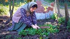 پخت خورشت کدو حلوایی توسط بانوی روستایی (فیلم)