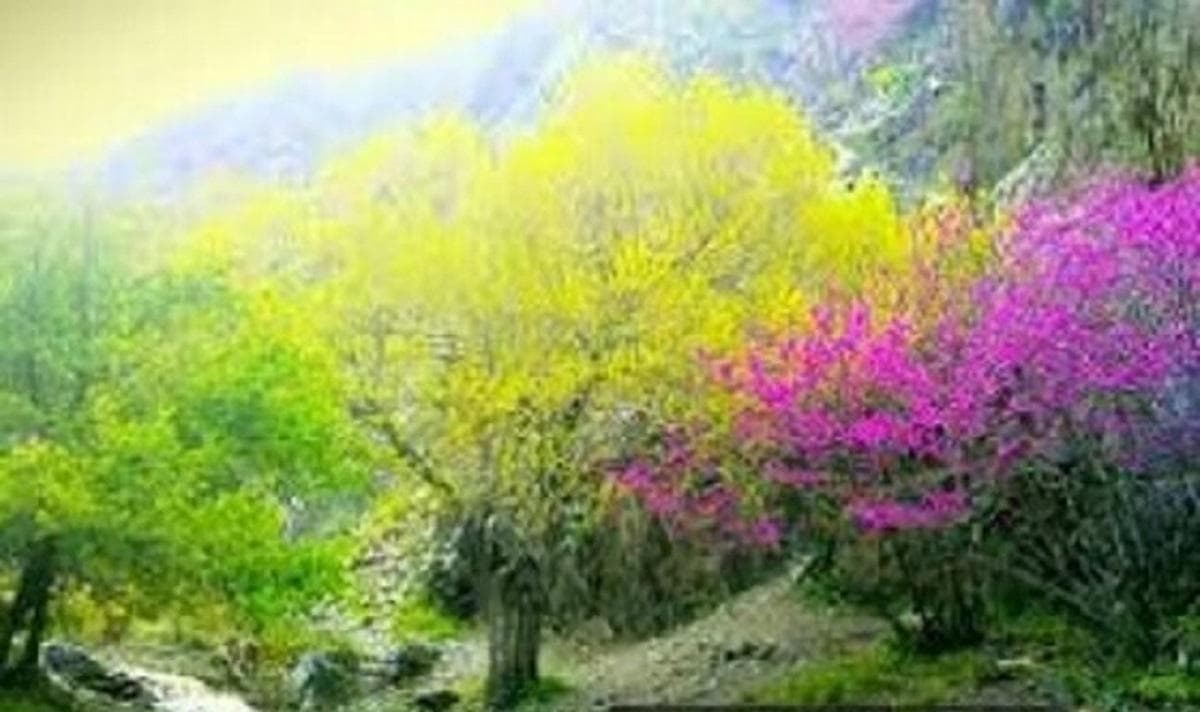 طبیعت بکر ایلام، بهشت گردشگران (+عکس)