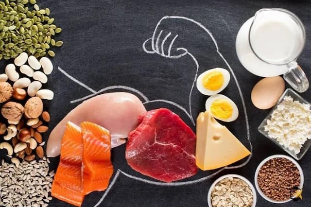 غذاهای پروتئینی مناسب افراد مسن