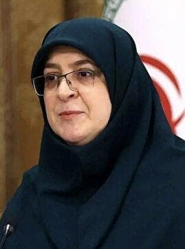 توضیح جدید سخنگوی دولت درباره لغو کنسرت همایون شجریان/ در اختیار دولت نبود از صمیم قلب متأسفیم