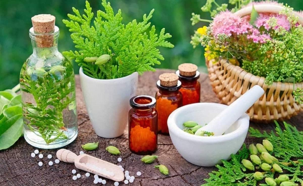 ۶ ماده غذایی برای پیشگیری از مه‌مغزی (Brain Fog)