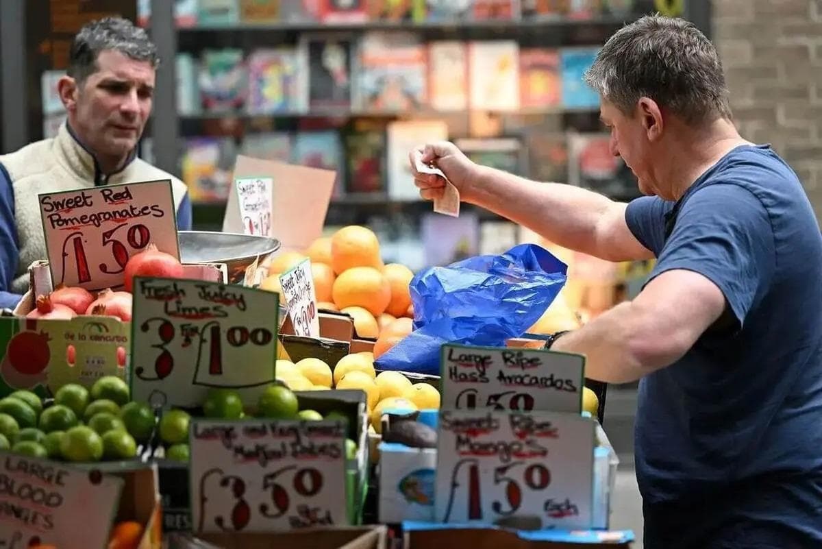 فائو: قیمت جهانی مواد غذایی بالا رفت