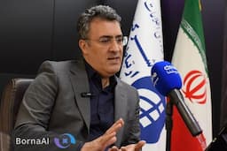 زائرین اربعین با سیم‌کارت‌های ایرانی خدمات ارتباطی را دریافت می‌کنند