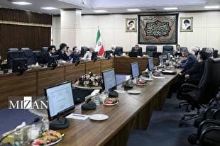 ورورد کمیسیون اقتصادی مجمع به بازنگری در سیاست‌های کلی اصل ۴۴