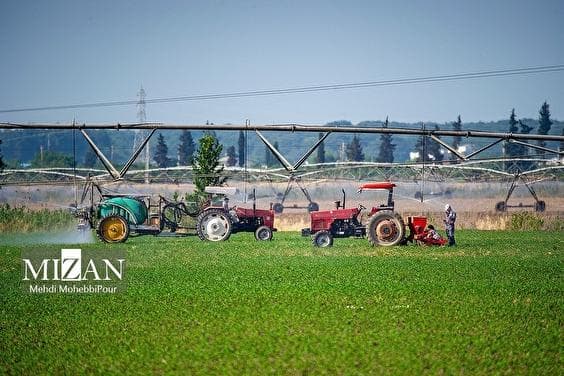 هشدار دادستان کل درباره مدیریت کالاهای اساسی/ عضو شورای هماهنگی تشکل‌های بخش کشاورزی: آمار غیردقیق عامل اصلی نابه‌سامانی بازار است