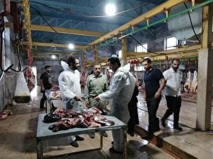 دادستان پلدختر: کشتار غیر بهداشتی دام تهدیدی جدی برای سلامتی مردم است