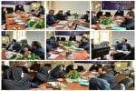 اجرای طرح ملی «رویش امید» برای حمایت از زوج‌های نابارور در اردبیل