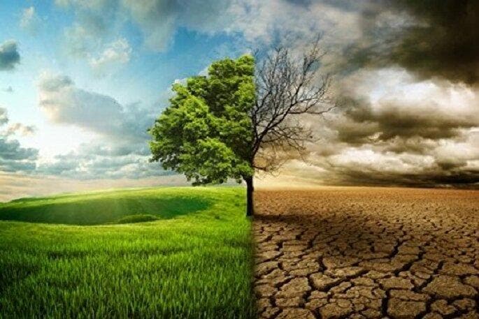 توصیه‌های پیامبر(ص) برای استفاده بهینه از آب و محیط زیست