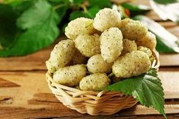 میوه‌ای که پوست صورت را جوان نگه می‌دارد