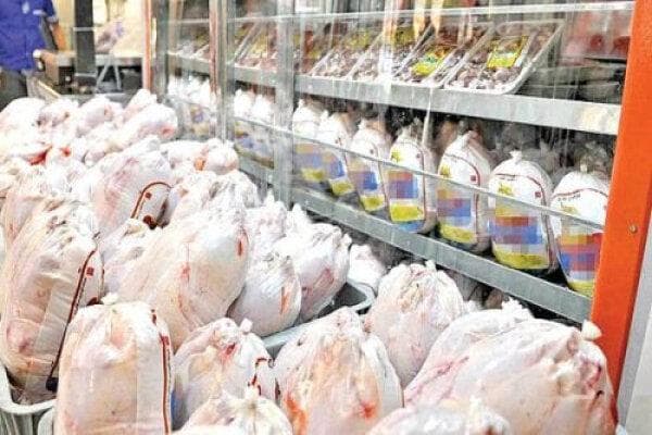 کاهش قیمت مرغ در شهریور