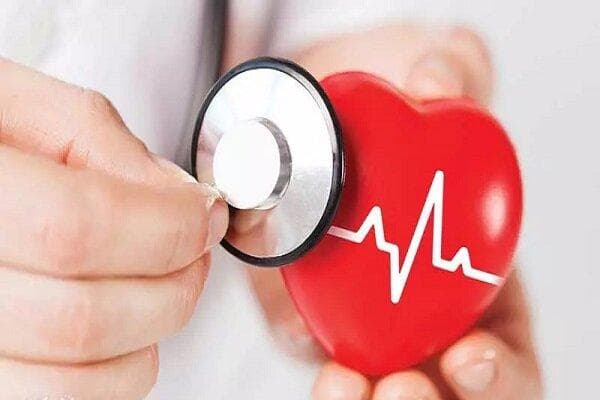 تاثیر دانه‌های روغنی بر حفاظت از بیماری‌های قلبی