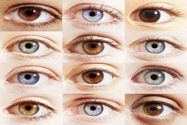دلیل زرد شدن سفیدی چشم چیست؟