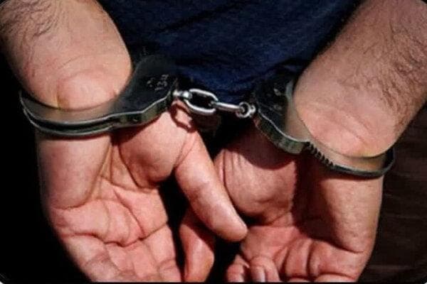 دستگیری مسافر فرودگاه با ۶۵۹ عقرب و رتیل در چمدانش