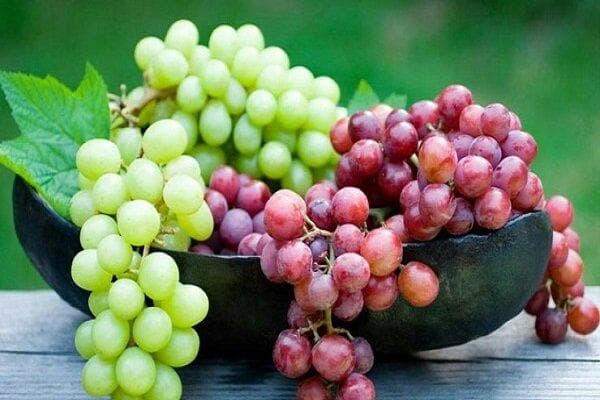 خواص روغن هسته انگور برای پوست و مو