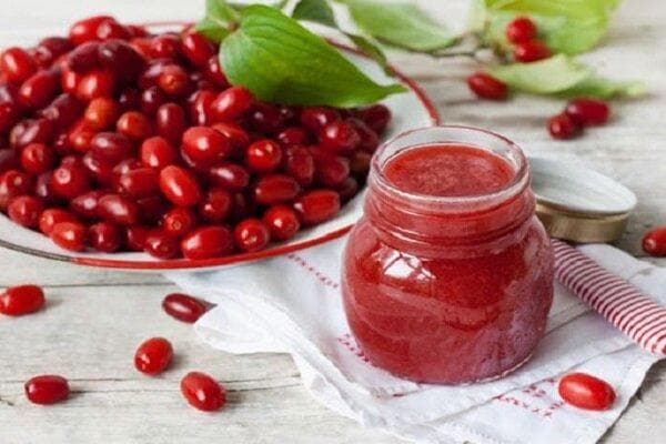 زغال‌اخته میوه‌ای با خواص دارویی فراوان؛ از درمان فشارخون تا پیشگیری از عفونت ادراری!