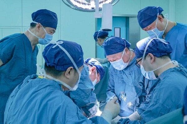 پیوند ریه خوک به انسان برای اولین بار در جهان