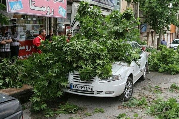 وزش باد شدید عصرگاهی در تهران تا پایان هفته