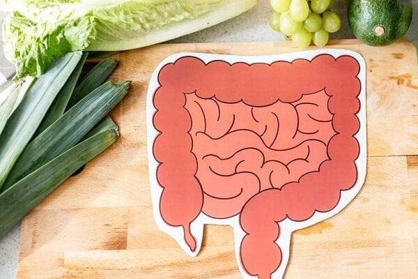 فواید ورزش بر میکروبیوم روده