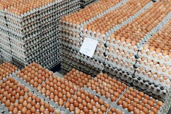 قیمت گوشت و تخم بلدرچین اعلام شد