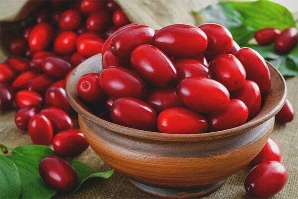 خواص درمانی زغال اخته و آب آن که باور کردنی نیست