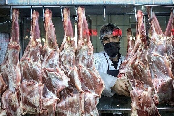 اتحادیه دام سبک: نرخ یک میلیون تومانی گوشت منطقی نیست