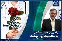 رئیس جهاددانشگاهی: پزشکان نقش حیاتی در پیشرفت کشور و ارتقای نظام سلامت دارند