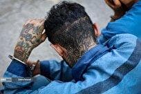 باند سارقان موتورسیکلت منهدم شد