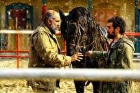 پوستر «ناتورِدشت» رونمایی شد/ روایتی سینمایی از یک حادثه واقعی