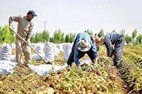 مرکز ملی پایش الگوی تولید کشاورزی با همکاری شرکت‌های دانش‌بنیان افتتاح شد