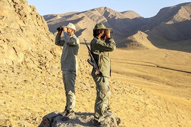جان محیط‌بانان در گرو اصلاح قانون بکارگیری سلاح
