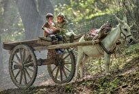 «روماک» در ژانر کودک و نوجوان کلید خورد/ قصه‌ای کودکانه در دهه ۵۰
