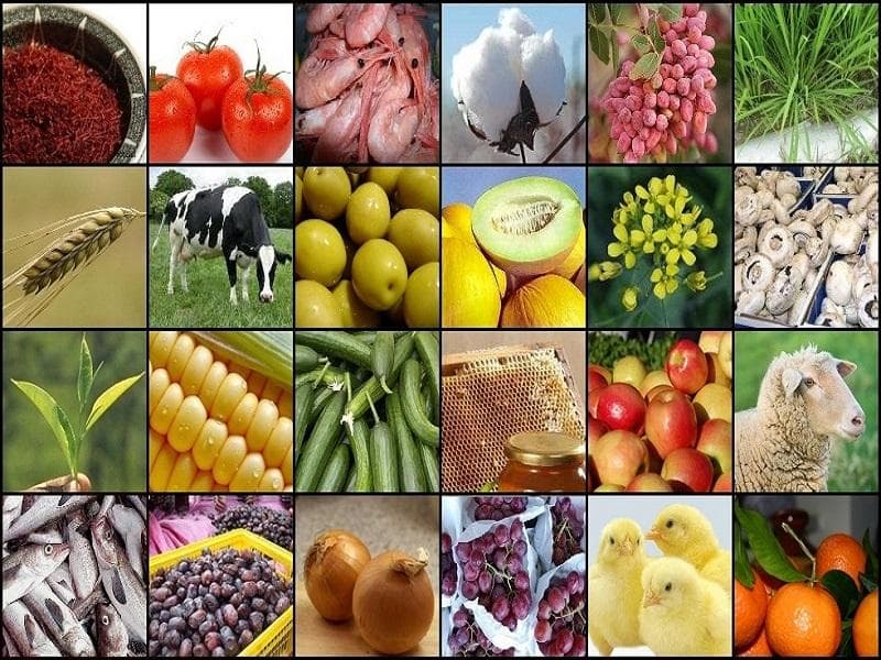 سبزیجات و حبوبات بیشترین تورم را داشتند