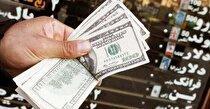 افزایش نرخ ارز تاثیری در تراز تجاری کشور ندارد