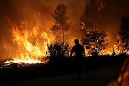ببینید | ادامه آتش‌سوزی‌های جنگلی غیر قابل مهار در اسپانیا