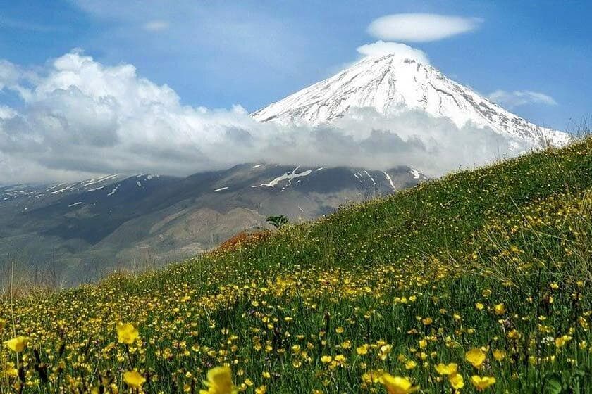 ببینید | بارش برف و سرما در این نقطه از کشور