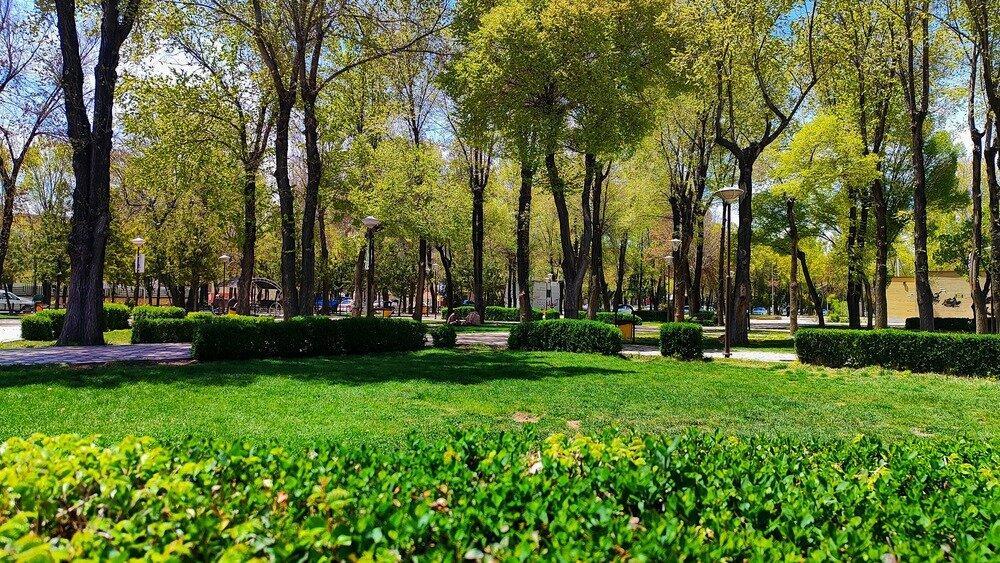 آغاز طرح کاشت ۲۵ گونه گیاهی بومی در شهرکرد برای احیای تنوع زیستی