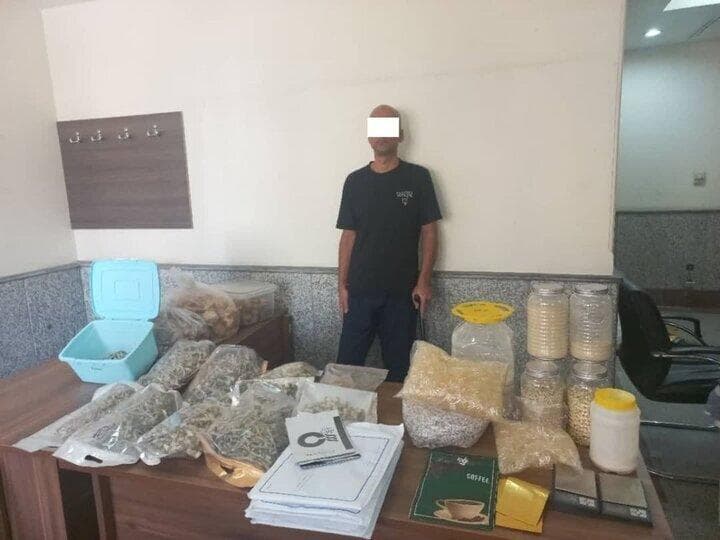 دستگیری موادفروشی با ۲K فالوئر/ فروش قارچ جادویی در اینستاگرام