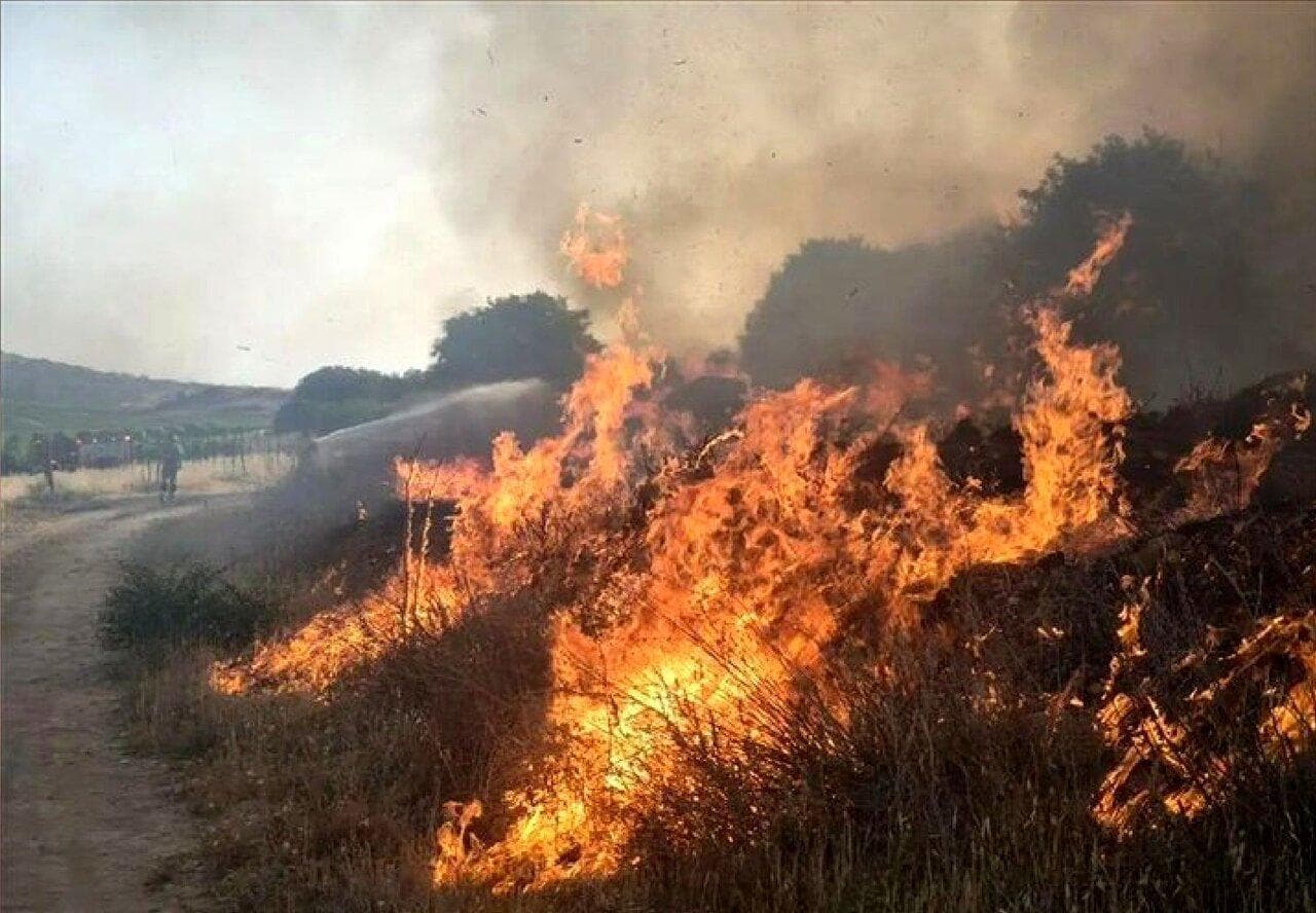هورالعظیم در آتش بی‌آبی؛ خشکیدگی ۹۹ درصدی بخش عراقی این تالاب