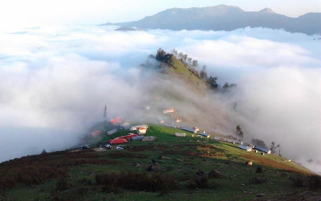 کشف جاده غیرمجاز ۸ کیلومتری در جنگل‌های گیلان/ عکس