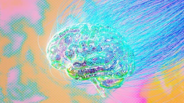 انقلابی در AI؛ پایان سلطه LLMها با ظهور مدل مغز-محور