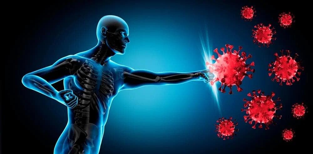 با این مواد طبیعی، ویروس‌ها جرات نزدیک شدن ندارند