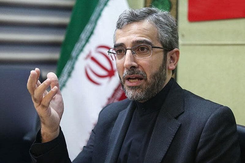 اولین حضور علی باقری در یک دیدار دیپلماتیک در جایگاه معاونت دبیرخانه شعام+تصویر