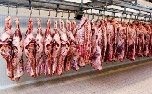 آغاز ثبت سفارش جدید برای واردات گوشت منجمد و گرم