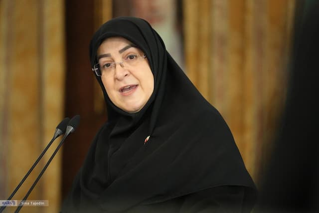 سخنگوی دولت «همایون شجریان» را با چه عنوانی توصیف کرد؟/ فاطمه مهاجرانی:برگزاری کنسرت با حضور میلیونی مردم تقویت کننده اتحاد ملی است