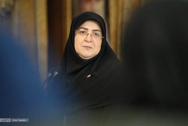 واکنش سخنگوی دولت به لغو کنسرت میدان آزادی همایون شجریان