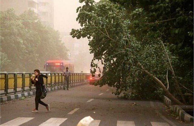 سازمان هواشناسی تهران هشدار داد