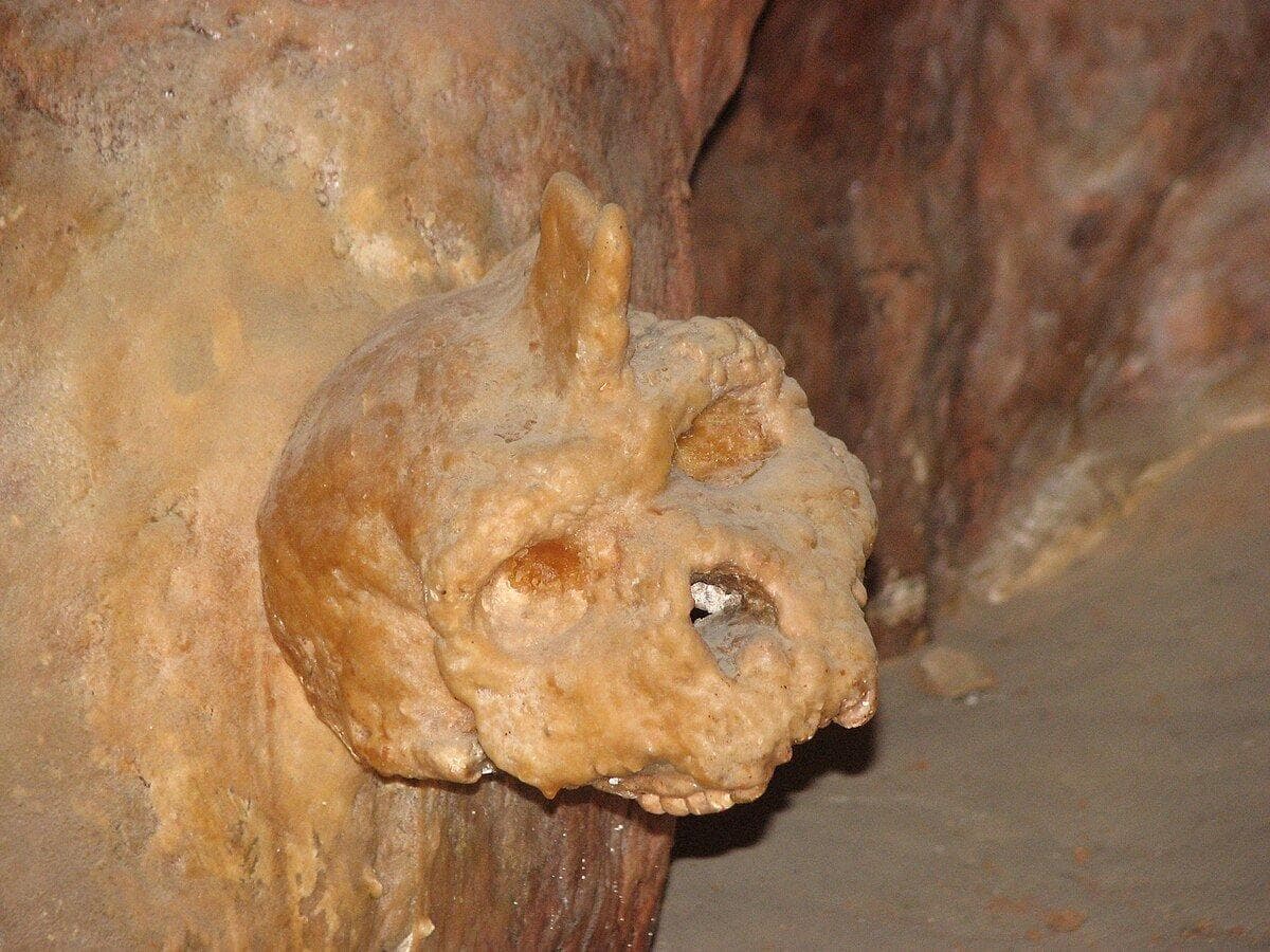 موجود ناشناخته انسان‌نمایی که ۲۸۶ هزار سال قبل در یک غار مرده است